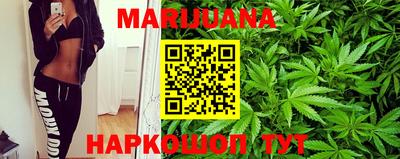 сатива Кандалакша